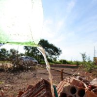 Dourados tem 6.411 notificações e 2.204 casos confirmados de Chikungunya