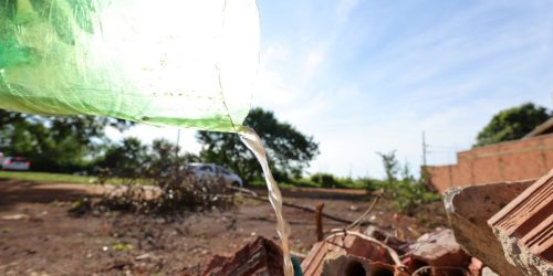 Dourados tem 6.411 notificações e 2.204 casos confirmados de Chikungunya