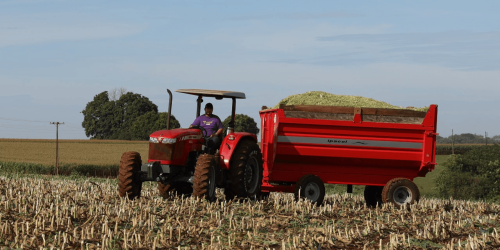 O público-alvo são agricultores familiares que desenvolvam atividades agropecuárias em Dourados – Foto: A. Frota