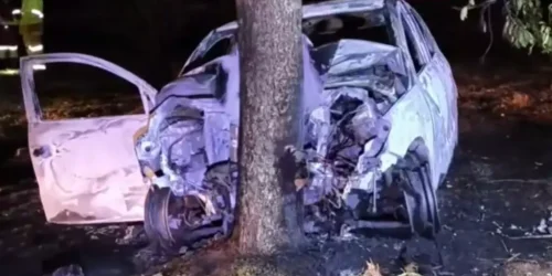 Foto: Reprodução, Sidney Bronka