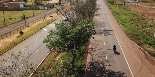 Foto: Chico Ribeiro/Seilog