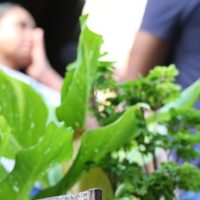 Foto: Laucymara Ayala/Sead