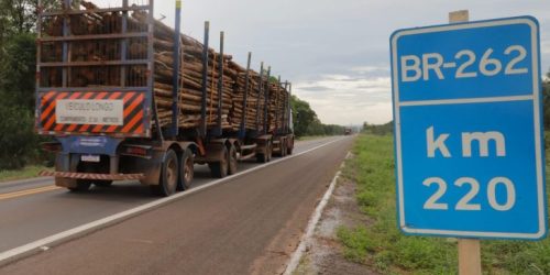 Mato Grosso do Sul: Terra de Oportunidades Atraindo Trabalhadores de Todo o País