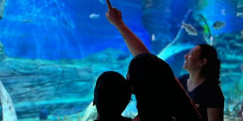 Foto: Eduardo Coutinho