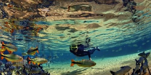 Foto: @visitmsoficial