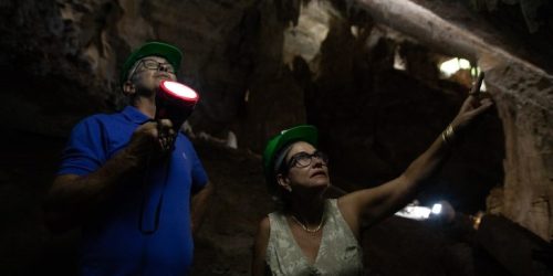 Foto: André Patroni @visitmsoficial