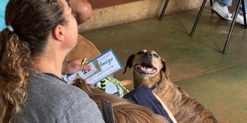 Foto: Victor Arguelho/Vice-governadoria