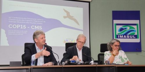 COP15 em MS vai atrair milhares de especialistas de mais de 100 países em março