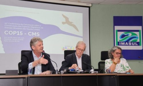 COP15 em MS vai atrair milhares de especialistas de mais de 100 países em março