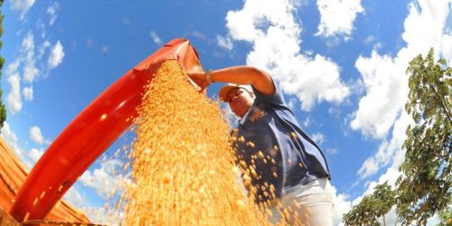 Foto: Álvaro Rezende