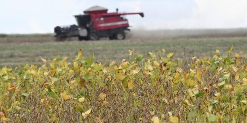 Foto: Bruno Rezende/Secom