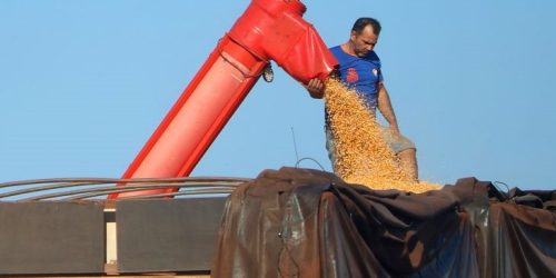 Foto: Álvaro Rezende/Secom