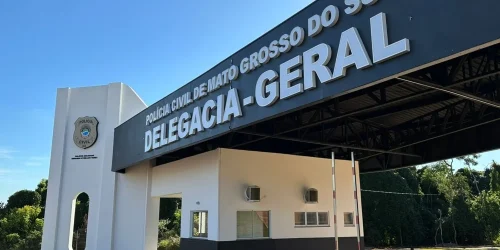 Divulgação