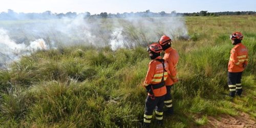 Foto: Ewerton Pereira/Secom