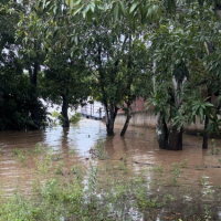 Defesa Civil de Mato Grosso do Sul se mobiliza após municípios serem afetados por chuvas intensas