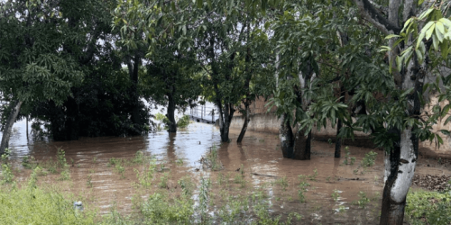 Defesa Civil de Mato Grosso do Sul se mobiliza após municípios serem afetados por chuvas intensas