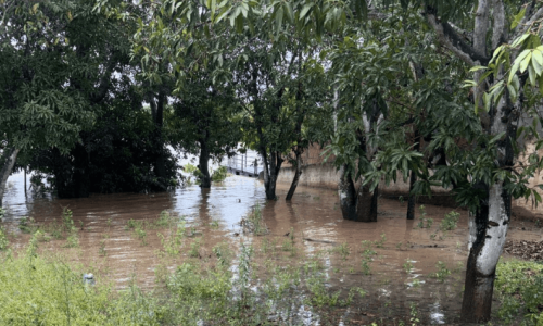 Defesa Civil de Mato Grosso do Sul se mobiliza após municípios serem afetados por chuvas intensas