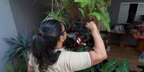 Foto: Álvaro Rezende/Secom