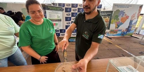 Foto: Helton Davis/SES