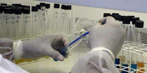 Lacen/MS recebe nota máxima em ensaios de proficiência e reforça excelência técnica