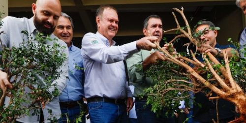 Para fortalecer cadeia produtiva da laranja, Riedel participa de remoção simbólica de murtas na Expogrande