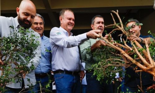 Para fortalecer cadeia produtiva da laranja, Riedel participa de remoção simbólica de murtas na Expogrande