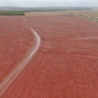 Com forte demanda do campo, FCO teve recorde de financiamentos no Estado em 2025