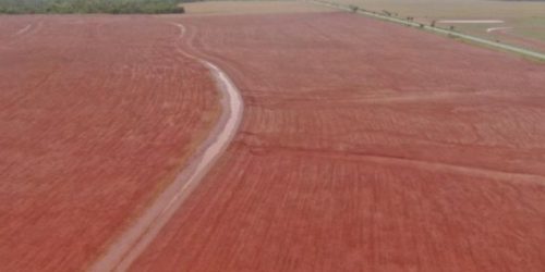 Com forte demanda do campo, FCO teve recorde de financiamentos no Estado em 2025