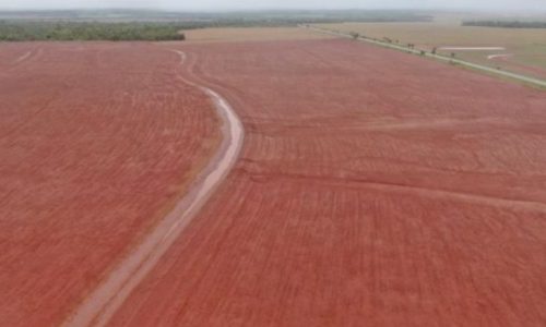 Com forte demanda do campo, FCO teve recorde de financiamentos no Estado em 2025