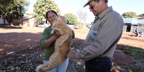 Durante a companha, Prefeitura já vacinou mais de 13 mil animais e busca ampliar a cobertura, com foco em prevenção- Foto: Arquivo/ A. Frota