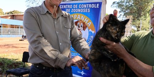 Divulgação