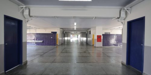 Divulgação