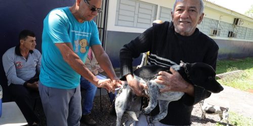 Centro de Controle de Zoonoses amplia vacinação antirrábica e leva atendimento para residenciais de Dourados