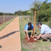 No Dia da Árvore, prefeito planta muda na Avenida dos Ipês, que também recebe espécies frutíferas