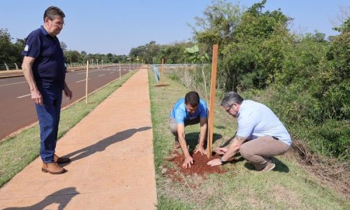 No Dia da Árvore, prefeito planta muda na Avenida dos Ipês, que também recebe espécies frutíferas
