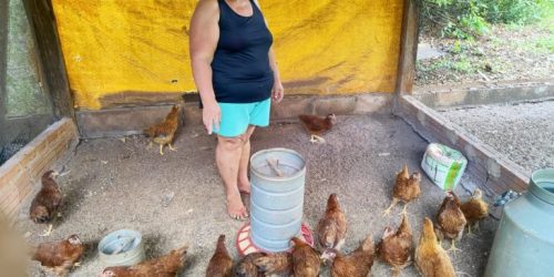 Mato Grosso do Sul Lidera Fomento Rural e Beneficia Famílias em Situação de Vulnerabilidade Social