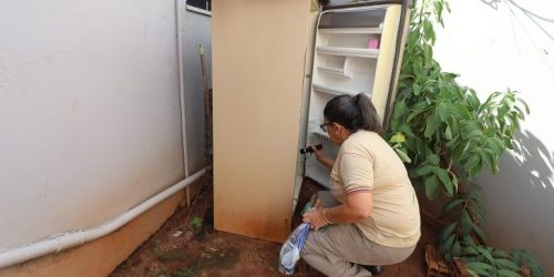 Foto: Álvaro Rezende