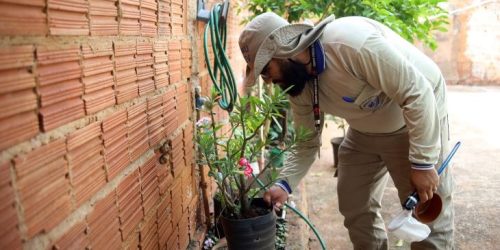Foto: Álvaro Rezende/Secom