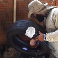 Divulgação