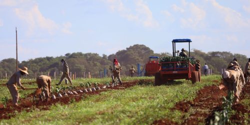 Foto: Álvaro Rezende