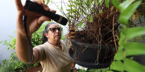 Foto: Álvaro Rezende