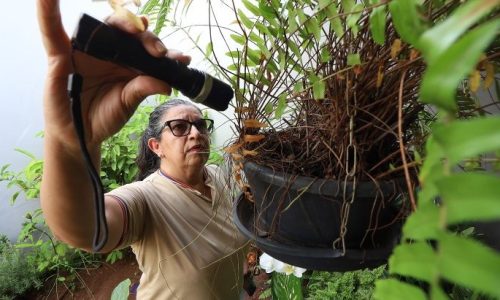 Foto: Álvaro Rezende