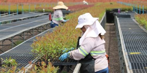 Foto: Saul Schramm/Secom/Arquivo