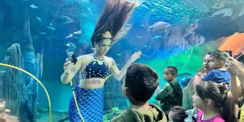 Foto: Lara Miranda/Bioparque Pantanal