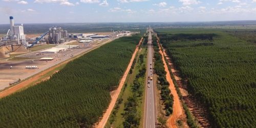 Foto: Álvaro Rezende/Secom-MS