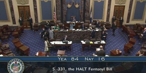 Reprodução / Redes Sociais