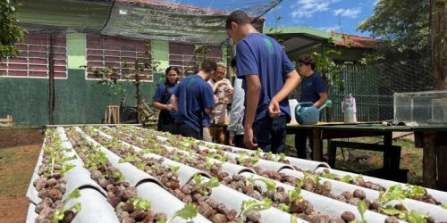 Foto: Cid Nogueira/SED