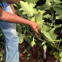 Foto: Cid Nogueira, SED