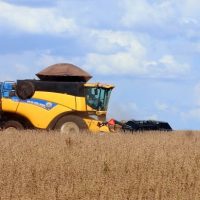 FCO aprova mais R$ 100 milhões para impulsionar investimentos em 33 municípios de MS
