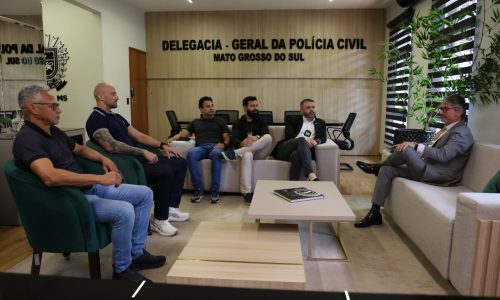 Delegado-Geral recebe representantes da Força Nacional para alinhar ações conjuntas contra o crime na região do Cone Sul do Estado